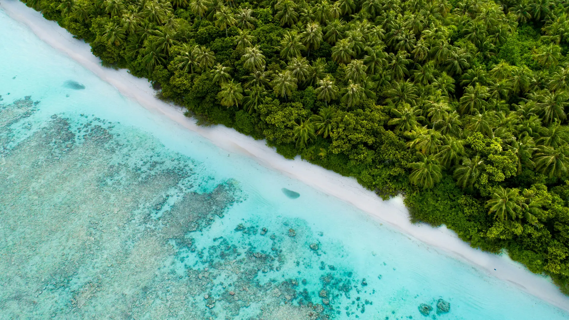 Goidhoo