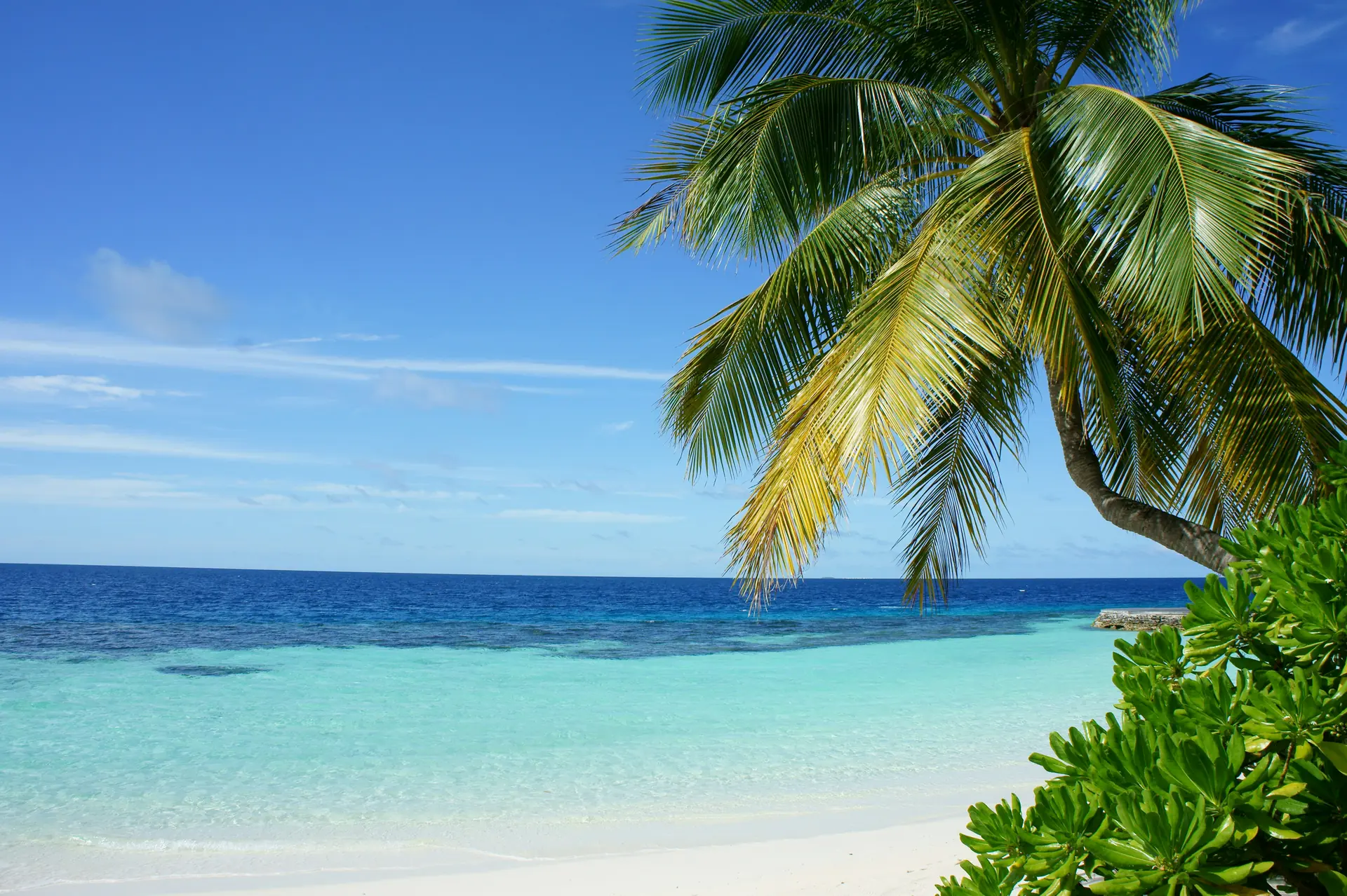 Aluvifushi