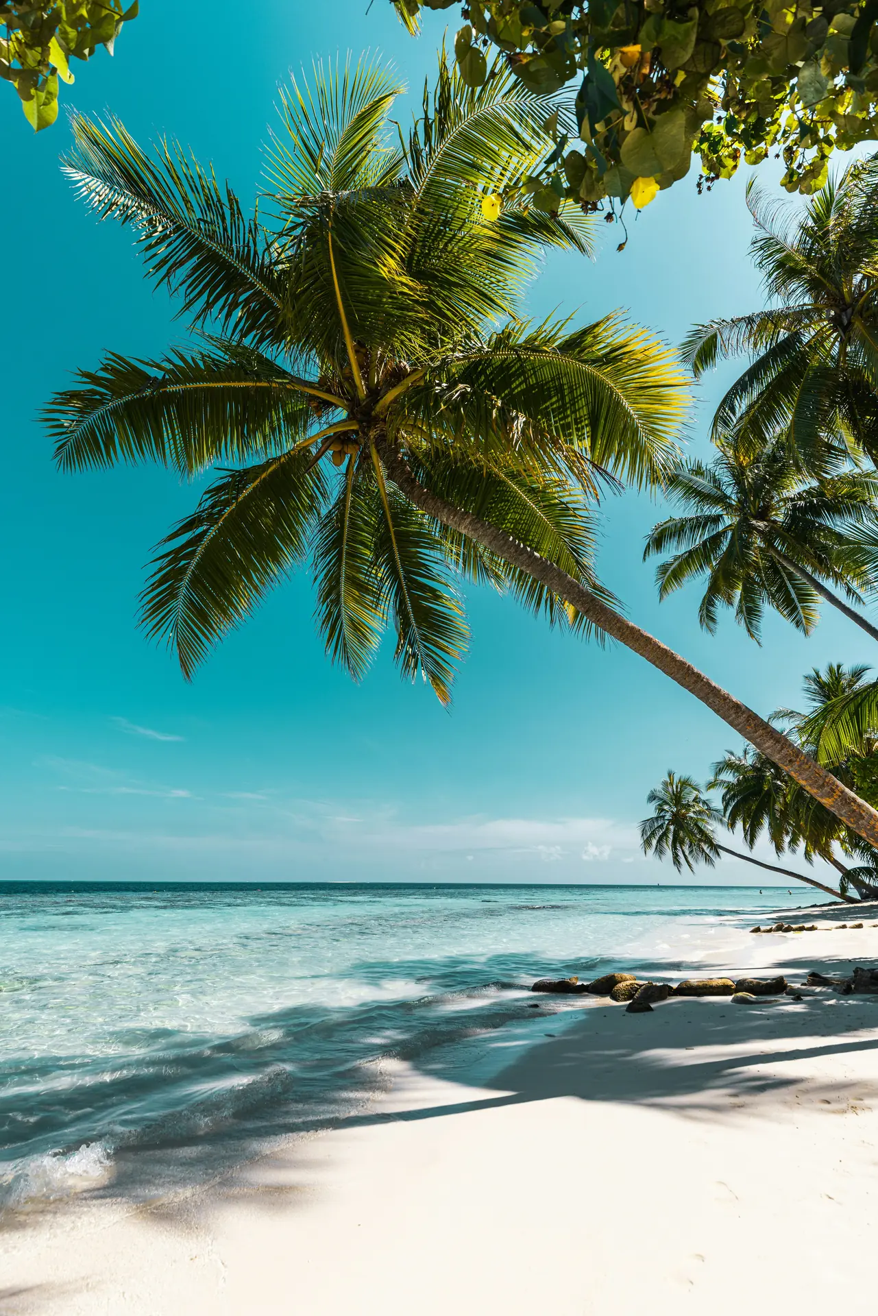 Velifinolhu