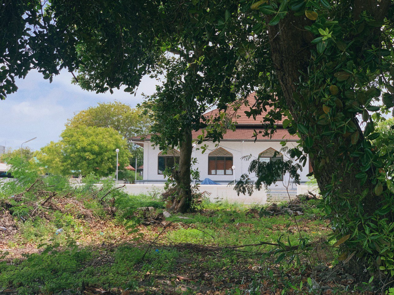 Dharanvadhoo