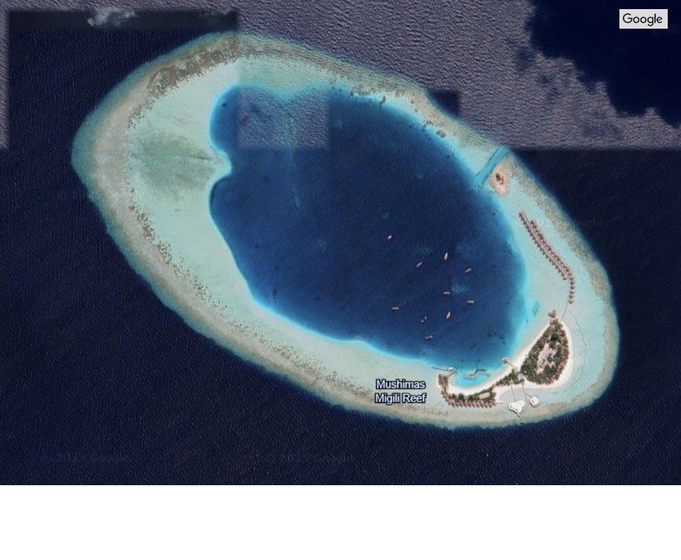 Mushimasmigili